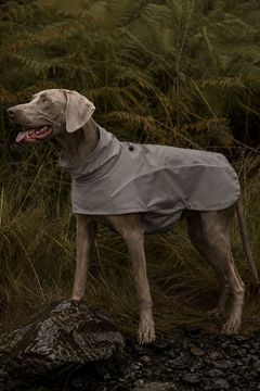 Naturesdog.hu