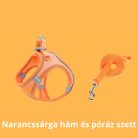 Hám & Póráz Szett - Fekete, M