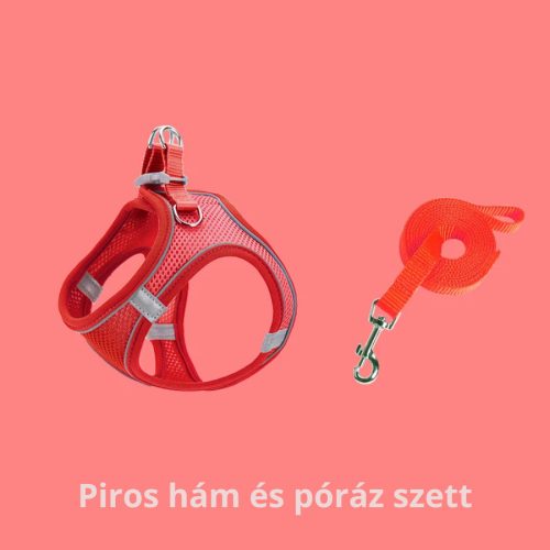Hám & Póráz Szett - Narancssárga, S