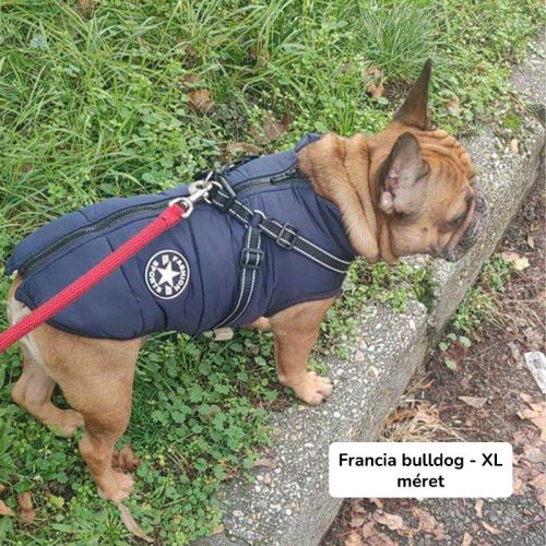 Bélelt téli kutyakabát hámmal - Zöld, 3XL