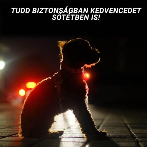 Világító LED-es biléta - Fehér