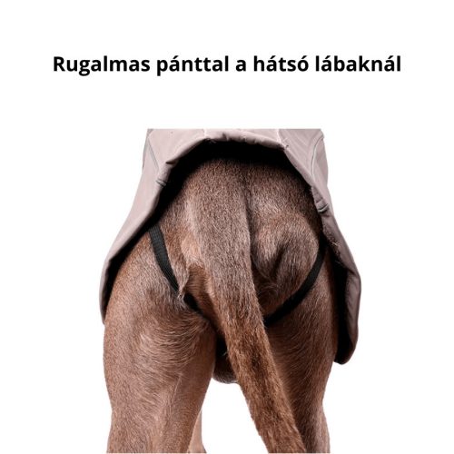 Vízhatlan Kutyakabát - XL, Kék