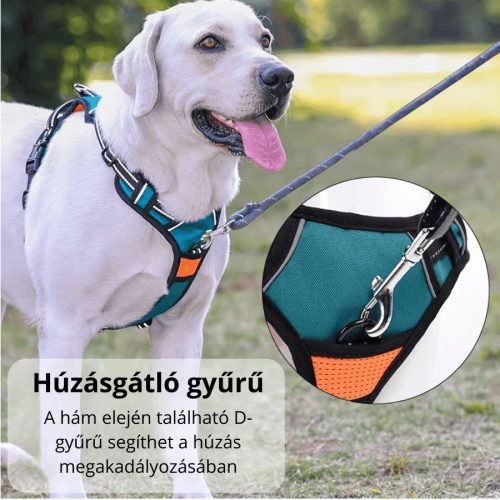 No Pull Húzásgátló Kutyahám - L, Kék - Narancssárga