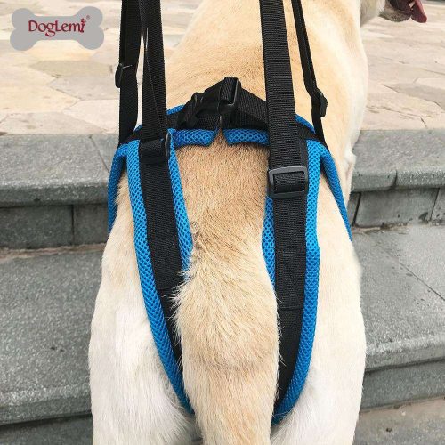 Csípő emelő rehabilitációs hám kutyáknak - L