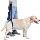 Csípő emelő rehabilitációs hám kutyáknak - XL
