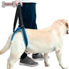 Csípő emelő rehabilitációs hám kutyáknak - XL