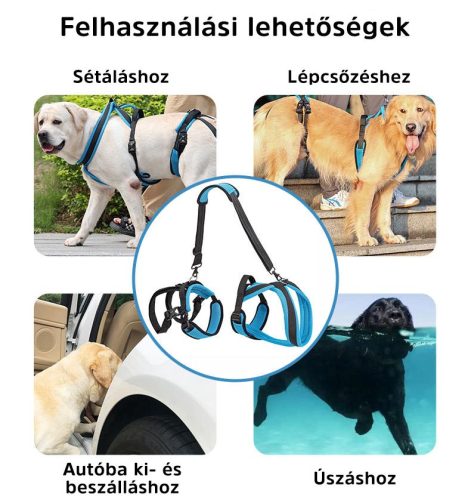 2 Részes emelő hám kutyáknak - L