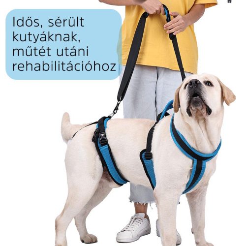 2 Részes emelő hám kutyáknak - S