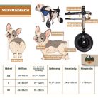 Rehabilitációs kutyakerekesszék - S