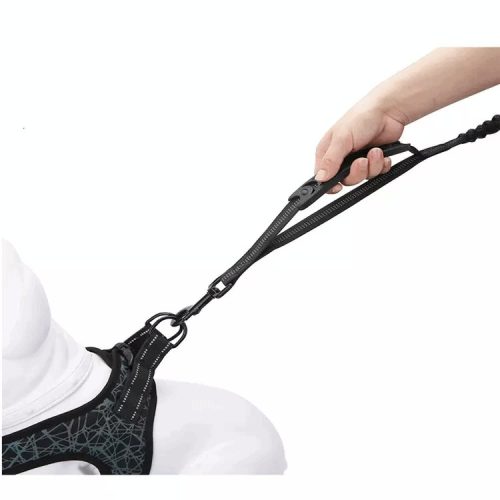 Fényvisszaverős Rugalmas Póráz - 133-184 cm - Narancssárga