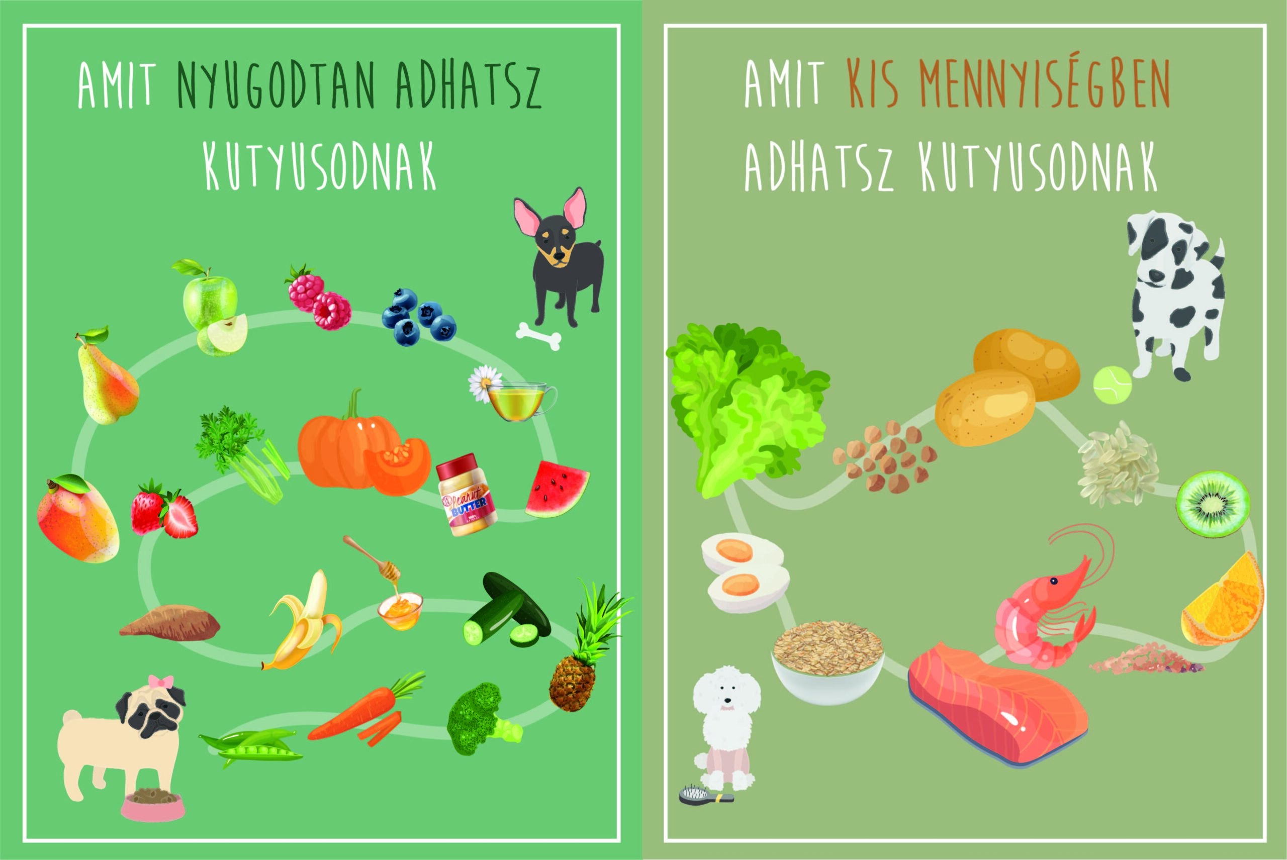Mit ehet a kutya? Milyen ételeket adhatunk kutyusunknak?