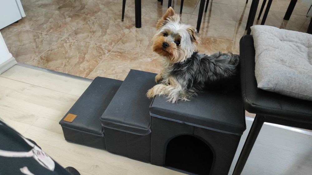 Yorkie – Összehajtható kutyalépcső tárolóval (vásárlói fotó)