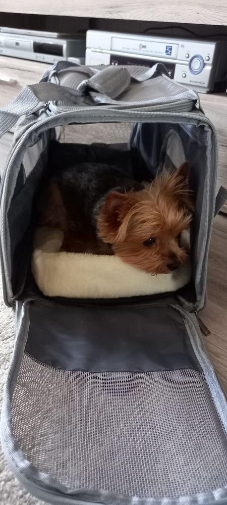 Yorkie – Kisállat hordozó táska (vásárlói fotó)